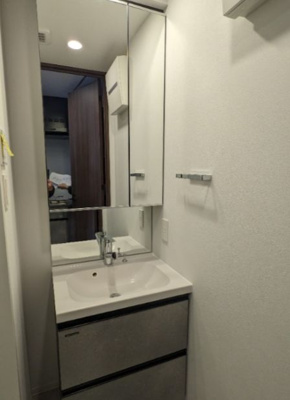 【独立洗面台】 | プロスタイルウェルス豊洲イースト | 独立洗面台、小物を置くことができて便利です
