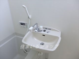 リヴィエール口田Ⅱの洗面所