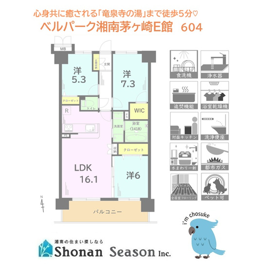 【間取り】 | 気になる水廻りも一新された、新規リノベマンション（Ｒ7.10月）　
敷地内には嬉しい公園あり！日々の疲れを癒す「龍泉寺の湯」徒歩５分で、健康的な暮らしが実現できますよ♪
ぜひご内見下さい。