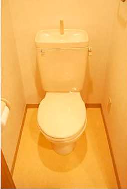 中央区新川２丁目の賃貸マンションのトイレ