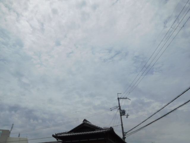 アニヴェルセルⅡの展望