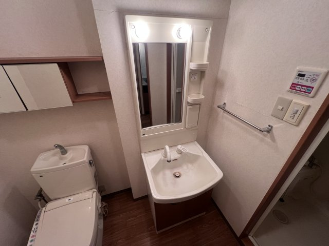 Ｓａｎｔａ　ＰｌａｃｅⅡの洗面所