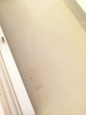 プレジールⅡのバルコニー