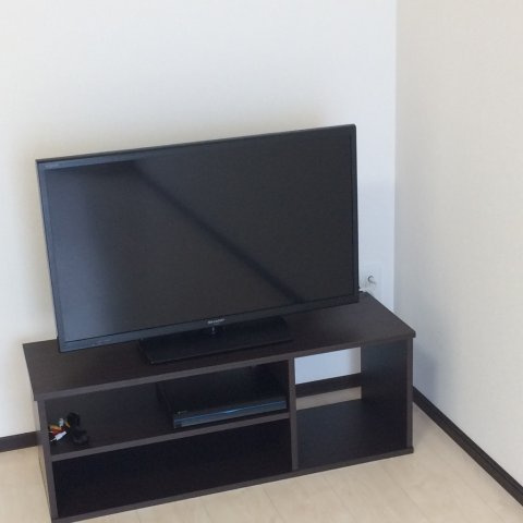 レオネクストヴィラージュ碧水Ⅰのその他