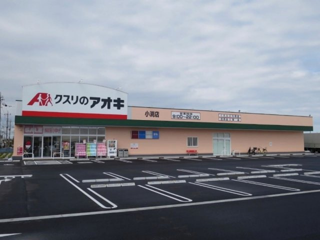 レオパレスグランドパレス春日部の周辺