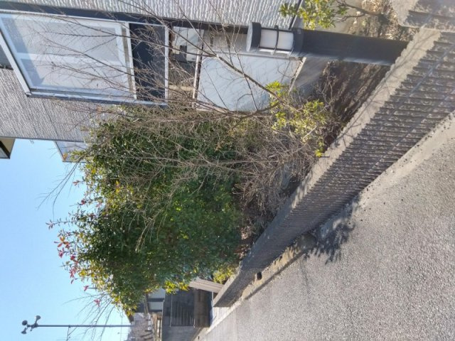 レオパレス角のその他