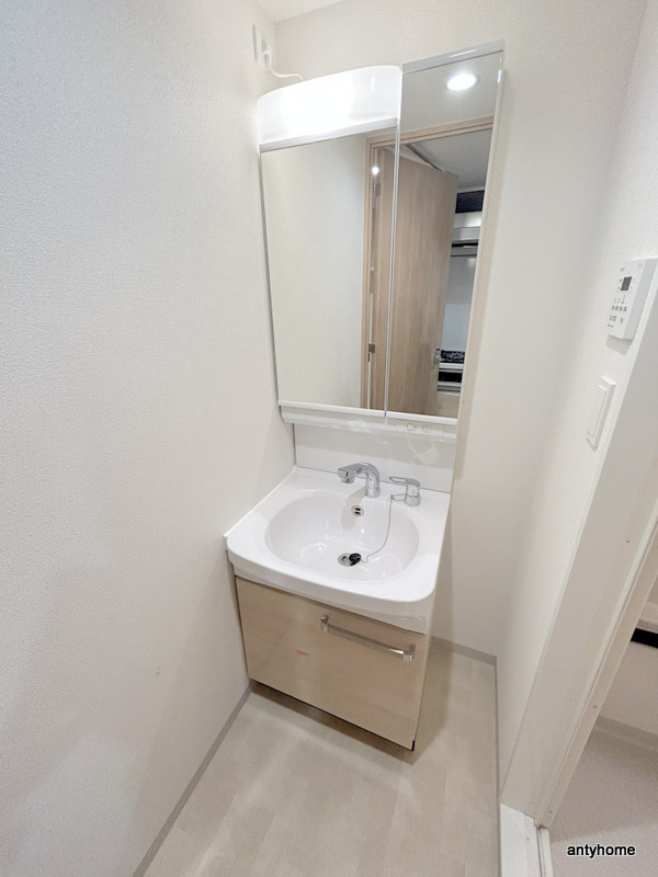 プレサンス堺筋本町エグゼブラン 仲介手数料無料の洗面所