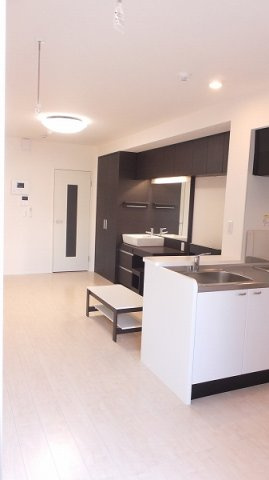 ミランダルッシェロのその他