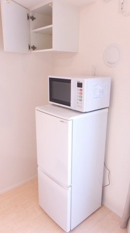 ミランダルッシェロのその他