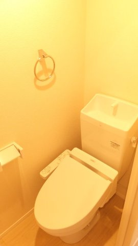 ミランダルッシェロのその他