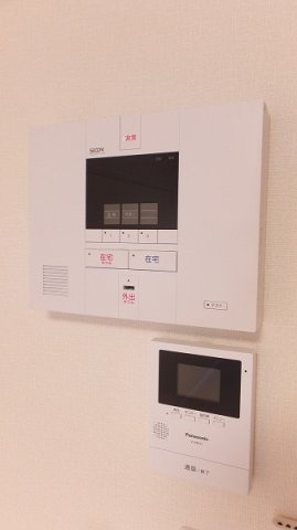 ミランダルッシェロのその他