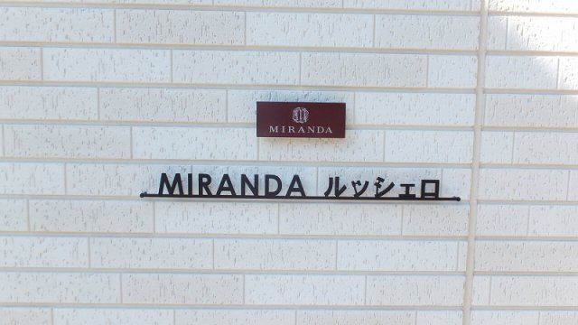 ミランダルッシェロのその他