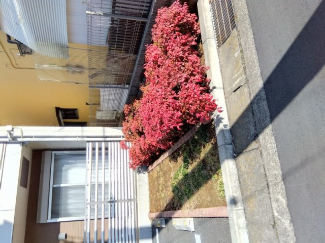 クレイノＴｅｒａのその他