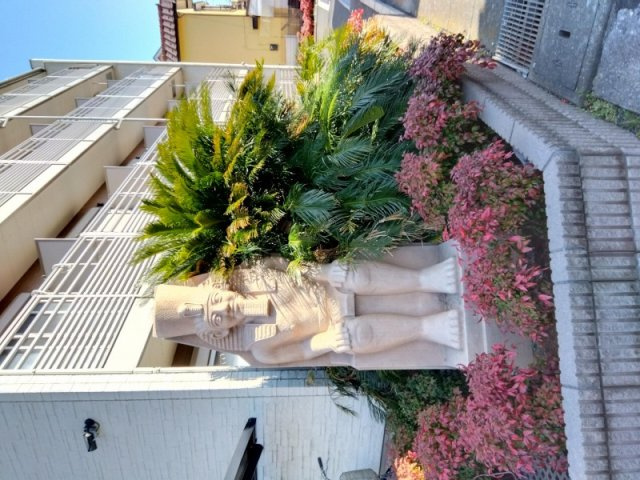 クレイノＴｅｒａのその他