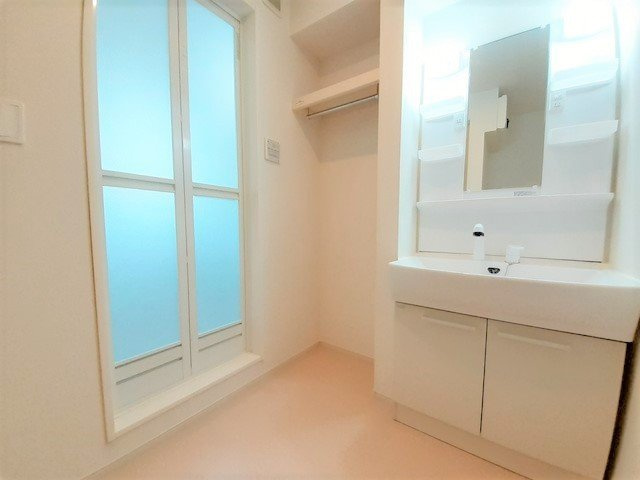 メゾングレイスＣの洗面所