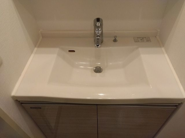 グランヴァン亀戸Ⅱの洗面所