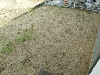 【庭】 | ヴィンヤードハウスⅠ | お庭で自由な時間を過ごせます