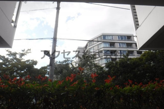 【展望】 | ※同建物別室、参考写真