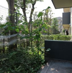 【バルコニー】 | 田端公園アパートメンツ | 暖かな日差しのふりそそぐバルコニー