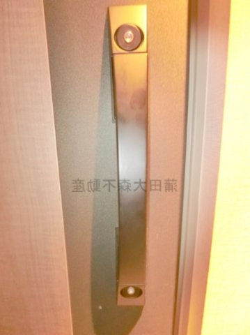 ブランシエスタ西馬込の玄関