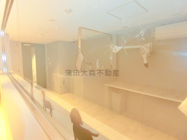 ブランシエスタ西馬込のその他共用部分