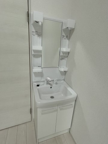 ラコリーヌ生田の洗面所