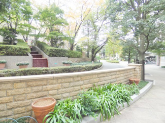 【中庭】 | パークシティ大宮セントラルタワー | 安心の緑の空間、季節の移ろいを楽しめます