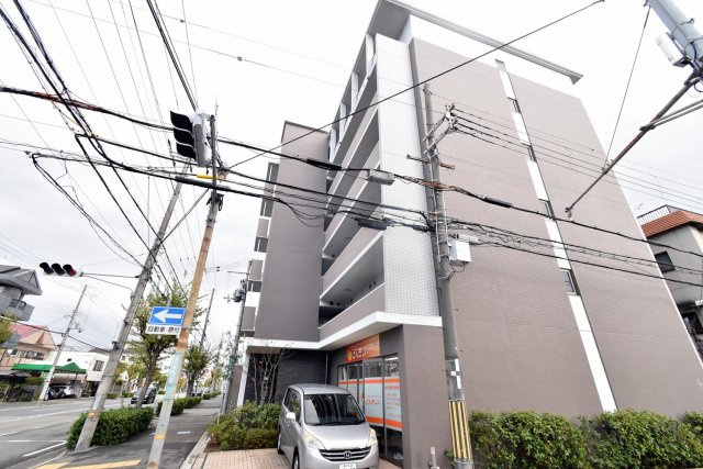 サンステラの展望