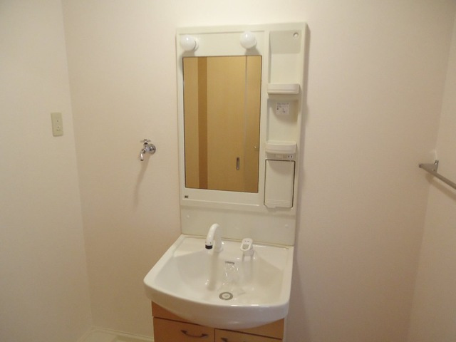 プルミエール小垣江の洗面所