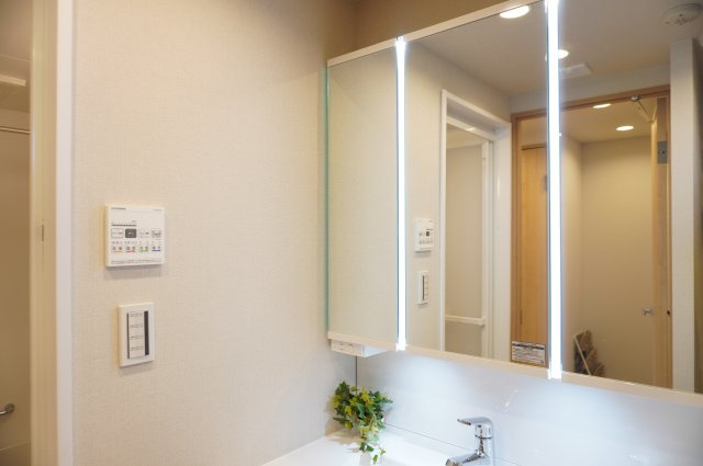 グーディッシュ谷塚の独立洗面台