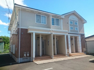 グラツィオーソの画像