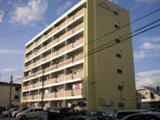 ブエナ　ティエラの画像