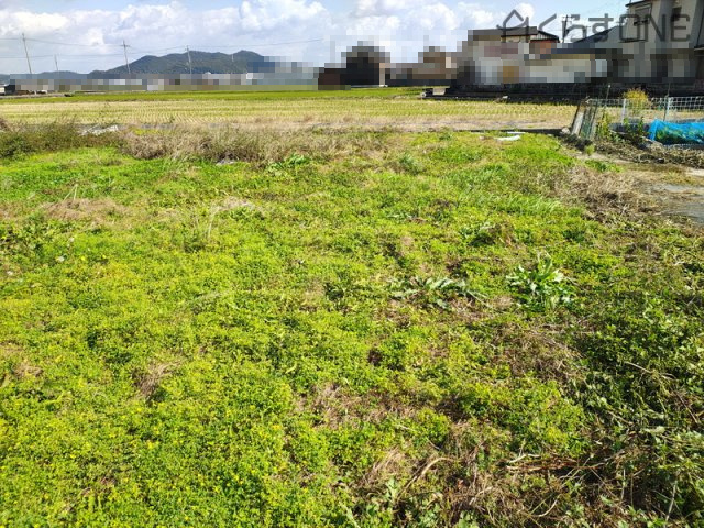 【外観】 | 姫路市網干区津市場／売土地