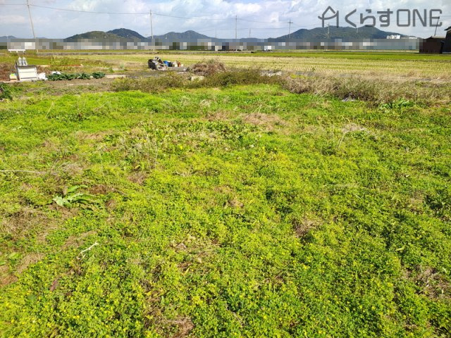 【外観】 | 姫路市網干区津市場／売土地