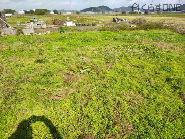 【外観】 | 姫路市網干区津市場／売土地