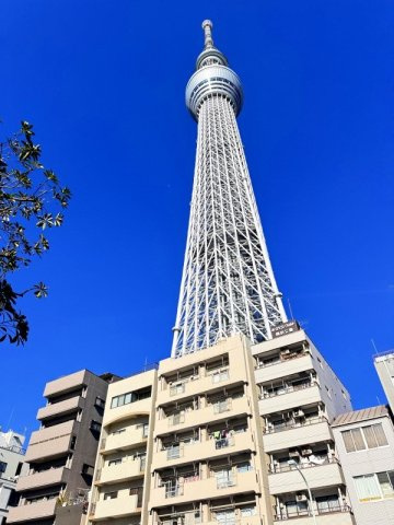 コーポ押上　8階　最上階　角部屋　94.08㎡　リフォーム済の外観