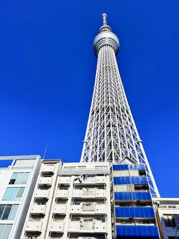 コーポ押上　8階　最上階　角部屋　94.08㎡　リフォーム済の外観