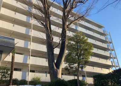 【現況写真】 | ファミール西八王子Ａ棟 | 外観はマンション管理がされているかの目安になります。築年数が古いと、壁面は劣化してひび割れが生じることも！建物が古びていても細かいところが修繕されていると、きちんと管理されているなぁと感じるでしょう。