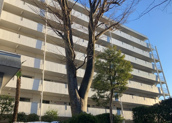 【現況写真】 | ファミール西八王子Ａ棟 | 外観はマンション管理がされているかの目安になります。築年数が古いと、壁面は劣化してひび割れが生じることも！建物が古びていても細かいところが修繕されていると、きちんと管理されているなぁと感じるでしょう。