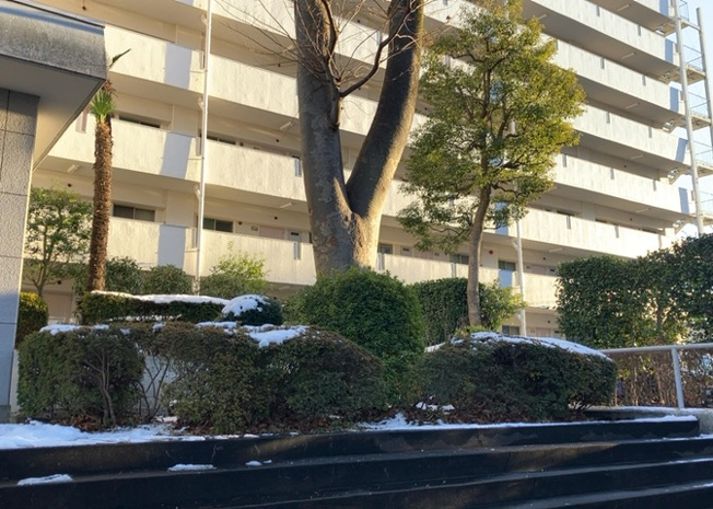 【庭】 | ファミール西八王子Ａ棟 | 物件によっては、入居者が個人的に使用できる専用庭がついているものもあります。また、住宅の中にある土間の部分を庭と呼ぶこともあります。庭の用途は住む人によって変わり、それによってデザインもさまざまです。
