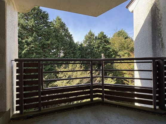 【バルコニー】 | スカイヒルズD棟