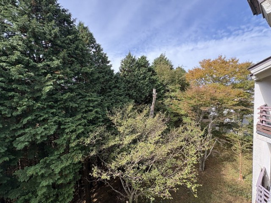 【展望】 | スカイヒルズD棟