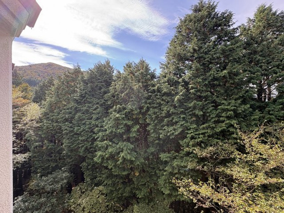 【展望】 | スカイヒルズD棟