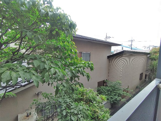 カミヤハイツの展望