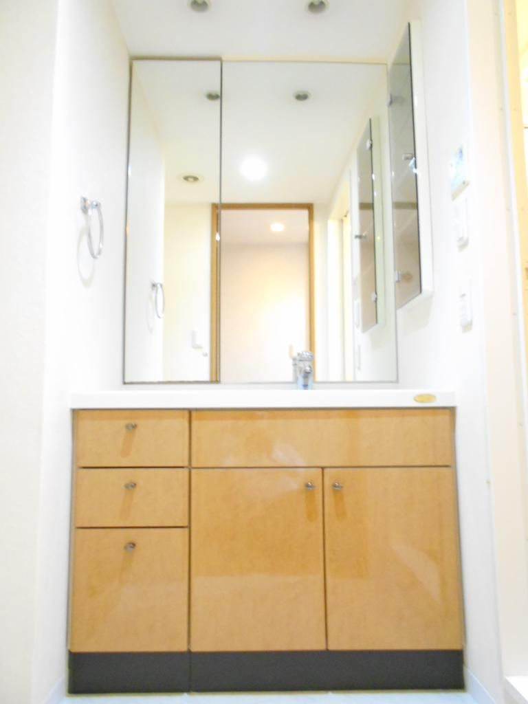 クイーンズパレス東京中央の独立洗面台