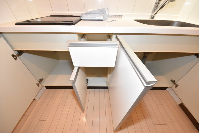 レジディア心斎橋ウエスト|現状有姿