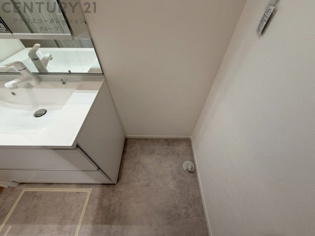 洗濯物の仕分け作業がしやすく、整理整頓が容易になります。洗濯音や湿気を他の部屋に持ち込まず、生活環境を快適に保ちます。上部を活用すれば収納スペースを確保でき洗剤や洗濯用品の整理もしやすくなります。