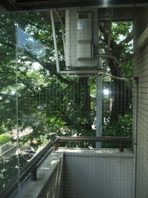 【バルコニー】 | フェルテロアール祐天寺