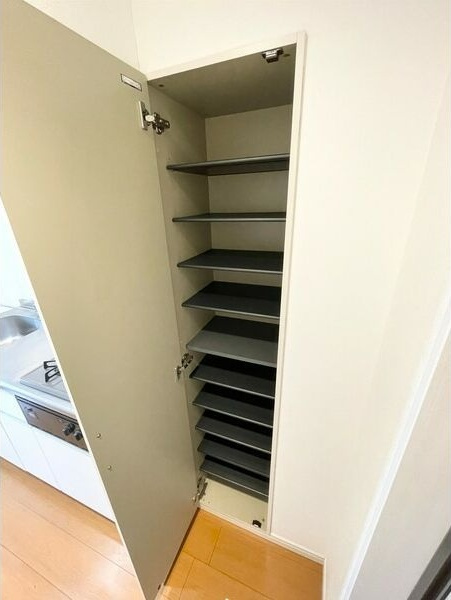 LA　TACHE　Ⅱ(ラターシュツー)の玄関