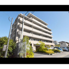 アンシャンテの画像